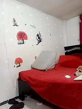 Lady 16 online show from 02-08-26, 01:09