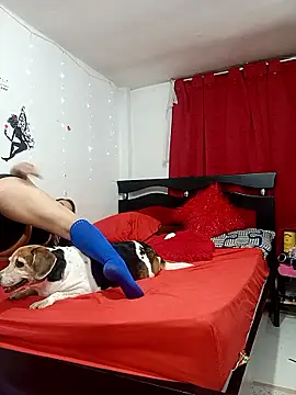 Lady 16 online show from 02-13-26, 04:30