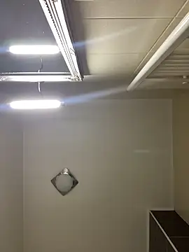 Snapshot of Lexi_Storm chatting on 03-02-26, 06:14 Lexi Storm online show from 03-02-26, 06:14