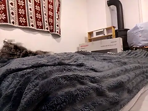 Snapshot of HoneySquirrel chatting on 10-10-25, 05:23 HoneySquirrel online show from 10-10-25, 05:23