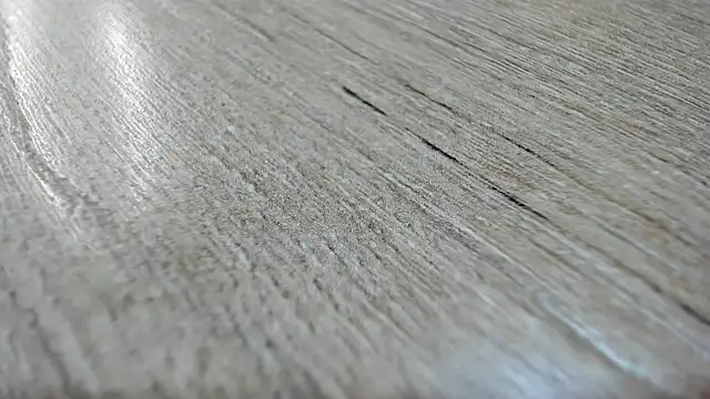 Miss Cataleya   online show from 03-14-26, 11:37