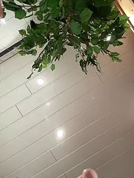 DreamThickCouple online show from 04-02-26, 09:01