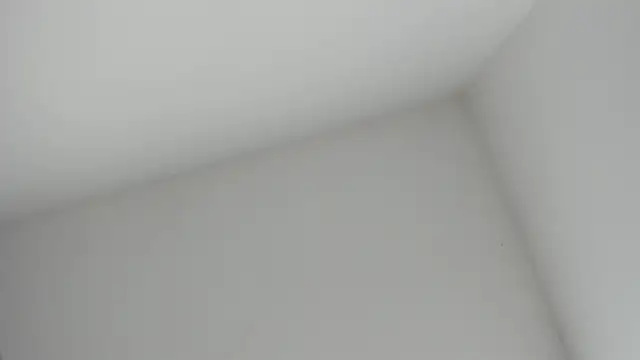 VioletRose as online show from 11-16-25, 08:36