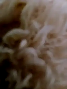 Snapshot of hanan-sex chatting on 11-29-25, 07:28 hanan-sex online show from 11-29-25, 07:28