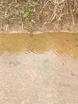 Snapshot of CoMay003 chatting on 03-12-26, 05:35 CoMay003 online show from 03-12-26, 05:35