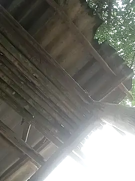 Snapshot of CoMay003 chatting on 04-02-26, 05:27 CoMay003 online show from 04-02-26, 05:27