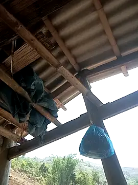 Snapshot of CoMay003 chatting on 04-12-26, 04:50 CoMay003 online show from 04-12-26, 04:50