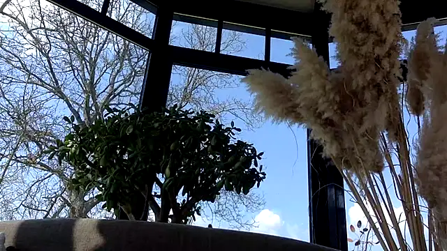 Snapshot of 3615-ULLA chatting on 03-22-26, 11:57 3615-ULLA online show from 03-22-26, 11:57