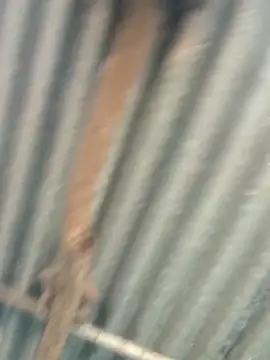 Hot-ilaiy online show from 09-09-25, 02:33