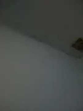 Kriffert online show from 11-01-25, 11:51