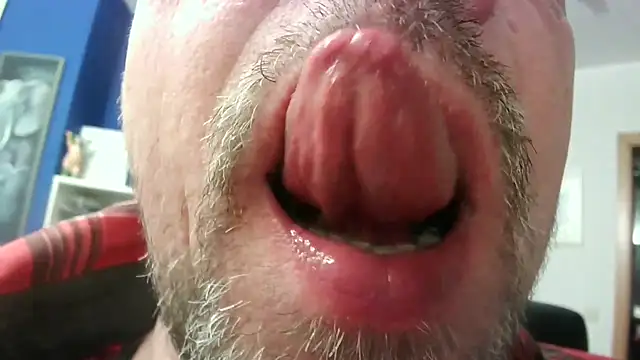 circus bearxh online show from 11-23-25, 06:46