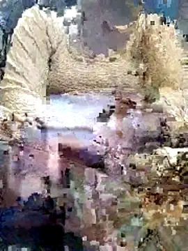 Gopika Dudi online show from 03-02-26, 01:41