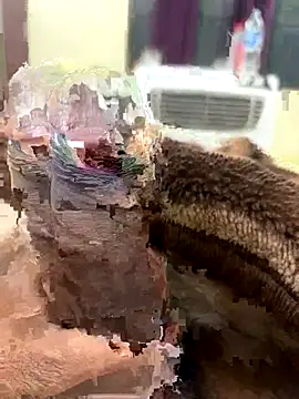 its Surya BBC online show from 11-27-25, 12:40