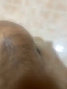 Binuthomas online show from 11-24-25, 05:01