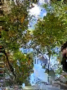 Mexxwell69 online show from 09-14-25, 03:11