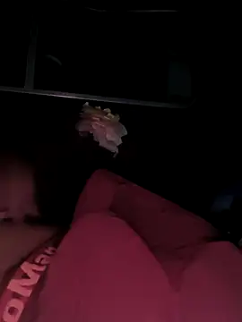 Snapshot of rajdehli chatting on 12-04-25, 04:05 rajdehli online show from 12-04-25, 04:05