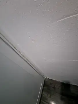 Lawrence067 online show from 05-20-26, 10:27