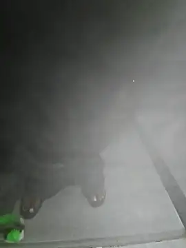 Snapshot of LundBoyram chatting on 10-28-25, 07:34 LundBoyram online show from 10-28-25, 07:34