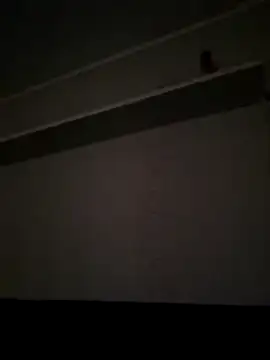 NibbleSweetie online show from 12-13-25, 08:47