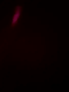 Size xxh online show from 01-16-26, 05:50