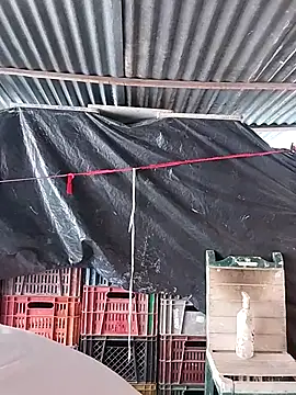 Snapshot of hoteder chatting on 02-23-26, 02:47 hoteder online show from 02-23-26, 02:47