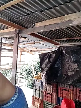 Snapshot of hoteder chatting on 02-24-26, 01:53 hoteder online show from 02-24-26, 01:53