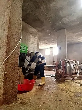 ezgi2545 online show from 03-06-26, 07:27