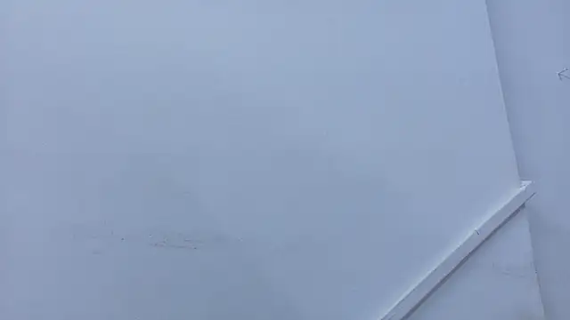 Lizbeth Rouse online show from 11-02-25, 11:34