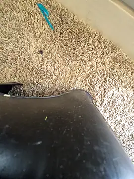 EsDezz88 online show from 03-22-26, 08:23