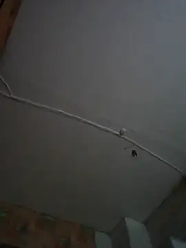 Romashka33011 online show from 11-06-25, 08:15