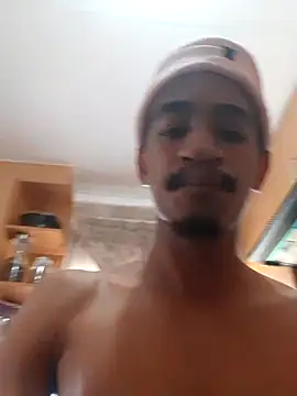 Snapshot of gemini_loops chatting on 03-11-26, 11:16 gemini loops online show from 03-11-26, 11:16