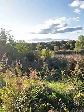 Snapshot of FavoriteKira chatting on 09-20-25, 02:07 FavoriteKira online show from 09-20-25, 02:07