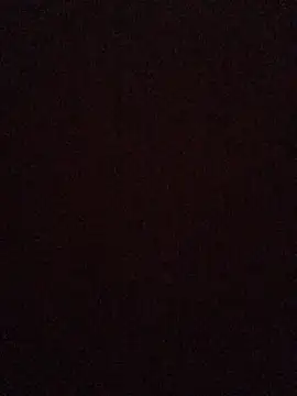 Snapshot of broskies777 chatting on 09-13-25, 10:48 broskies777 online show from 09-13-25, 10:48