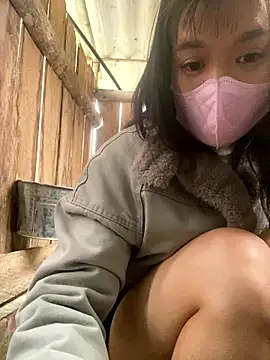 Snapshot of PhanHaa chatting on 01-16-26, 02:04 PhanHaa online show from 01-16-26, 02:04