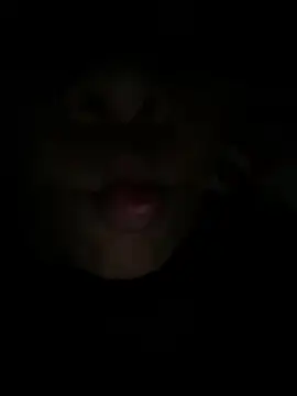 Luna025 online show from 02-24-26, 04:43