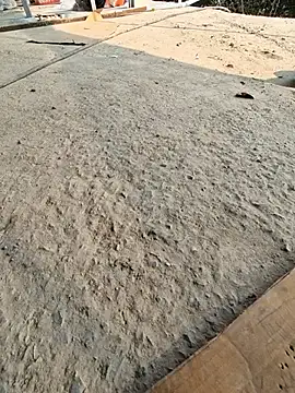 UP16LT5355 online show from 11-23-25, 07:41