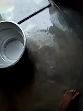 dolphiinn online show from 11-28-25, 01:08