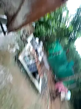 dolphiinn online show from 11-29-25, 01:41