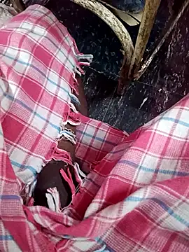 dolphiinn online show from 01-13-26, 02:22