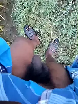 dolphiinn online show from 01-19-26, 01:09