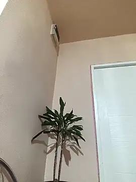 papichulo0099 online show from 10-21-25, 03:07