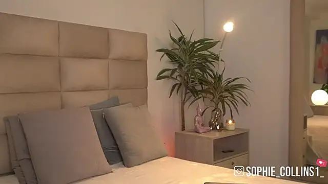 SophieCollins 1 online show from 06-01-26, 11:56