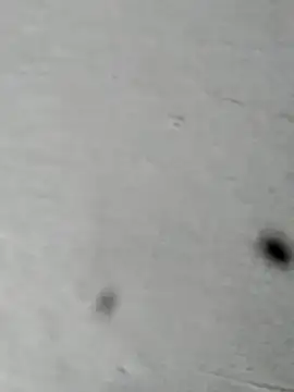 Snapshot of Mollysdick chatting on 04-16-26, 02:18 Mollysdick online show from 04-16-26, 02:18