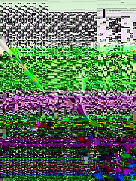 vergeta19 online show from 11-08-25, 04:12