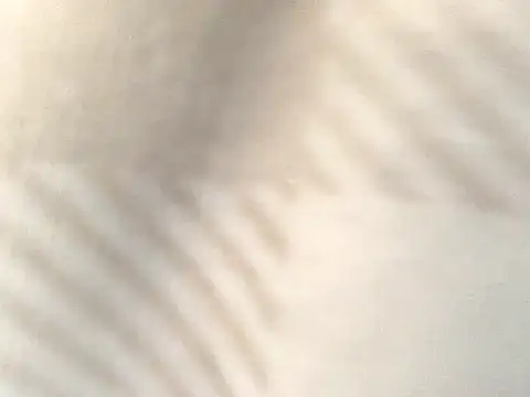 Tishrella6 online show from 09-11-25, 07:25