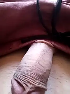 bemmagrinho36 online show from 02-06-26, 04:21