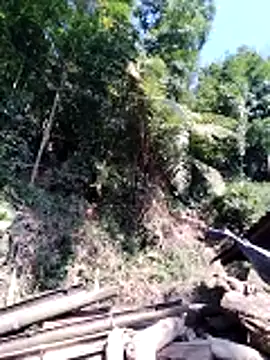 miss-su online show from 02-05-26, 07:46