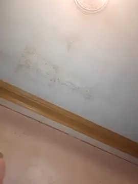 Klubnyhka3991 online show from 12-16-25, 09:31