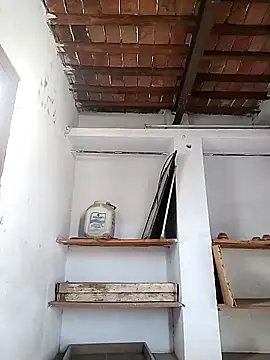 PunjabiSardarBull online show from 04-21-26, 03:02