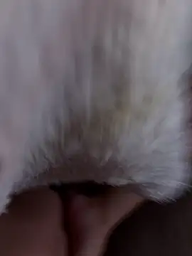 erokami36 online show from 02-05-26, 06:07